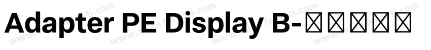 Adapter PE Display B字体转换